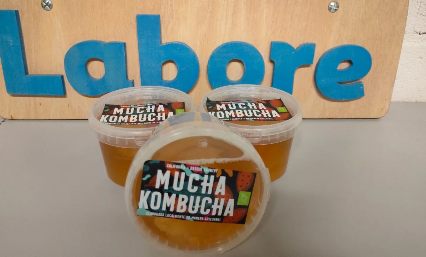 Componentes para elaborar Kéfir y Kombucha en casa